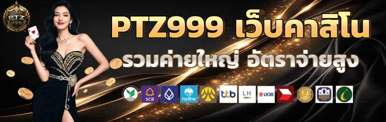 ptz999